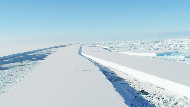 wilkins_ice_shelf_from_bas_twin_otter_2_p615 Antarctic ice shelf ‘hangs by a thread’ (25 Mar 2008)