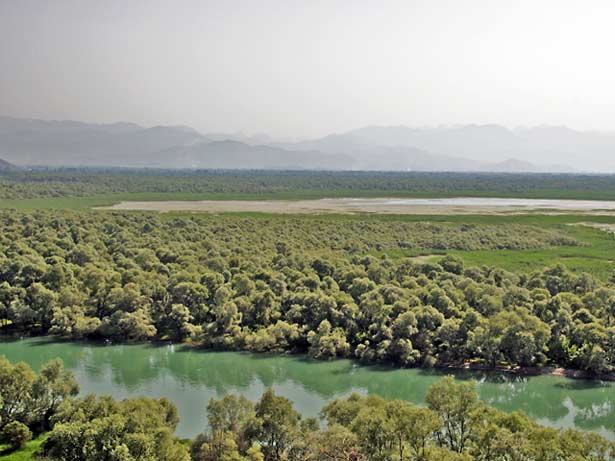 Flussdelta der Morača (Mündung in den Skutari-See) / © Ulrich Schwarz, Fluvius delta moraca skutari c schwarz u FLUVIUS