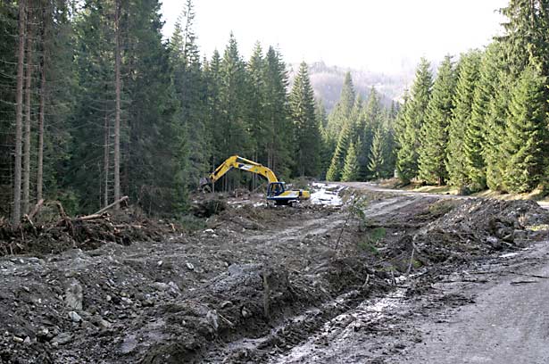 Rumänien virgin forests © by WWF Romania ro virgin forests 02 c wwf ro