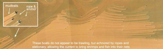 © DigitalGlobe 2007/Kyle Van Houtan/Marine Photobank