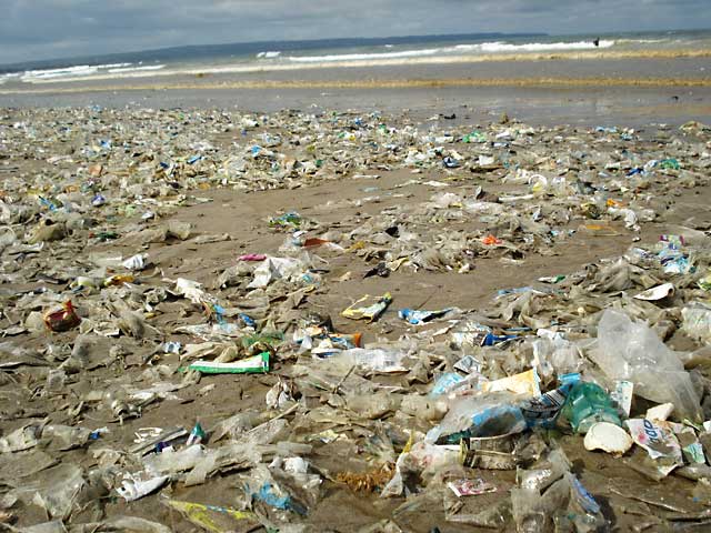 marine_litter_Hutner_Petra © Hutner Petra