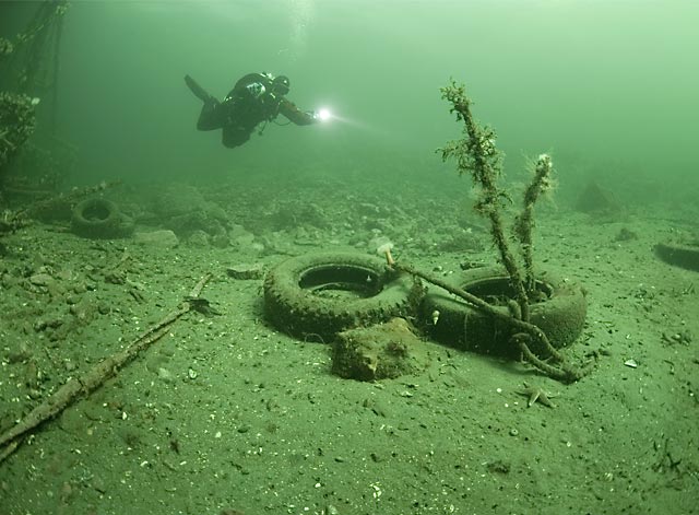 Photo: Fredrik Myhre, Hjelp Havets Haier/Marine Photobank