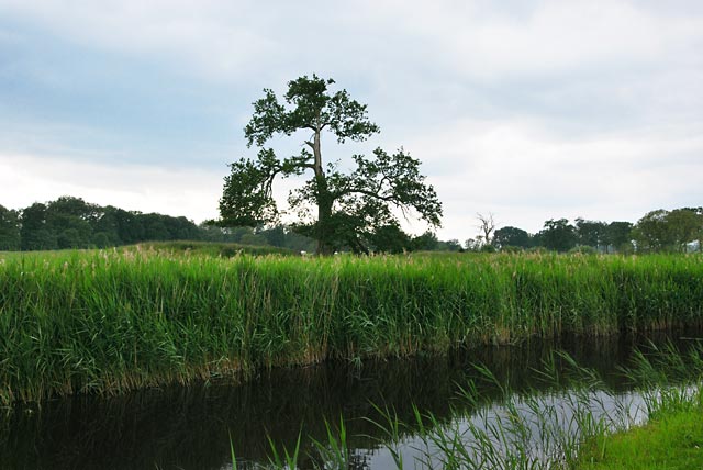 Berücksichtigung von ökonomischen, sozialen und kulturellen Leistungen von Ökosystemen. © GreenConnect naturwert