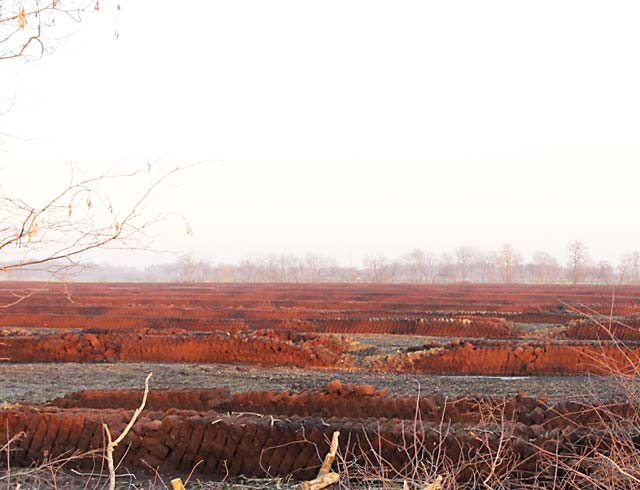 A 15 14 Torfabbau Landkeis Wesermarsch c Silke Lorenz