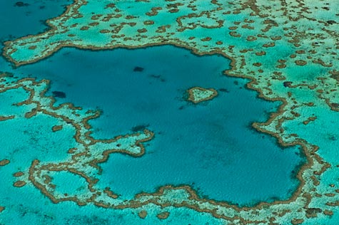 Aerial view of Hardy Reef, Heart Reef, Great Barrier Reef © Jürgen Freund