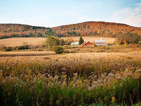 It’s Official: New York Fracking Ban Made Final With Release of 43-Page Document 1 Dryden_cjb_475