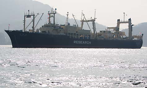 Japan_research_vessel_J_Sutton-Hibbert_ Greenpeace