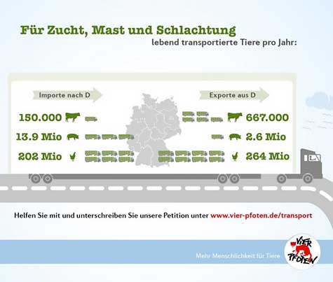 tiertransporte_vier_pfoten
