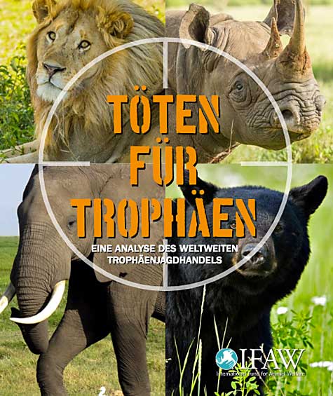 trophaeenjagd_report