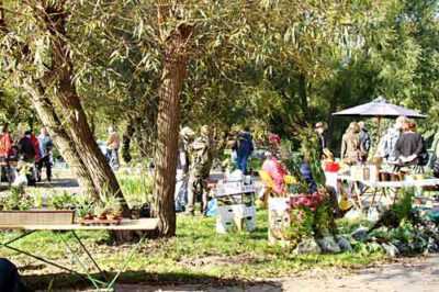 pb ratzeb 031007 en 4