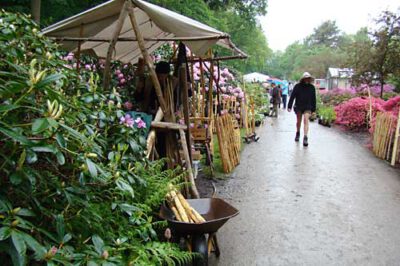 pb bremen 170508 en 12