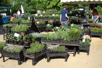 pm wennerstorf 110508 en 22