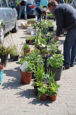 ahrensburg 250410 en 03