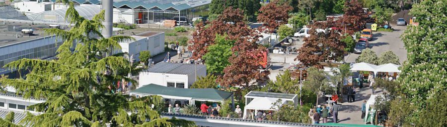 flottbek 290510 en 3