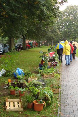 Pflanzenbörse Wohltorf