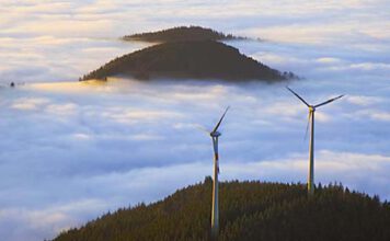 © Christoph Weiler / Aus Kampagne des DNR "Umwelt- und naturverträgliche Windenergienutzung"