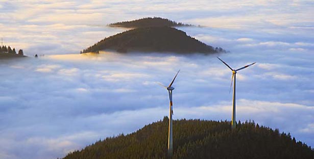 © Christoph Weiler / Aus Kampagne des DNR "Umwelt- und naturverträgliche Windenergienutzung"