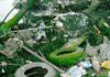 Debris Covering Mangrove