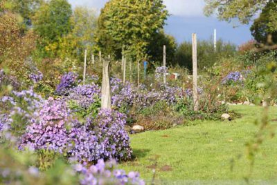 Herbstmarkt im Rosenpark bei Labenz