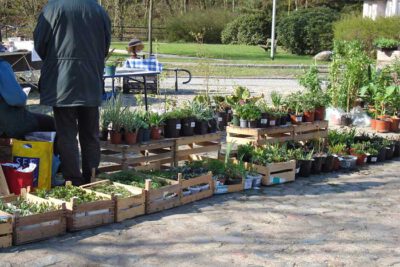 reinbek 180410 en 01