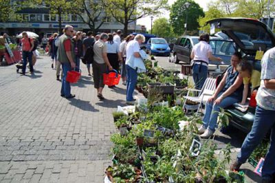 ahrensburg 260409 en 5
