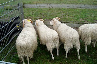 archewarder 121008 en 3