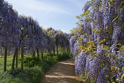 ellerhoop 100509 en 12