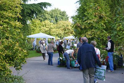 klein flottbek 120909 en 8