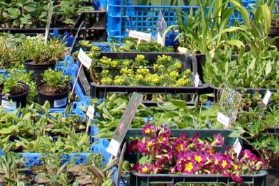 pb ahrensburg 270408 en 10