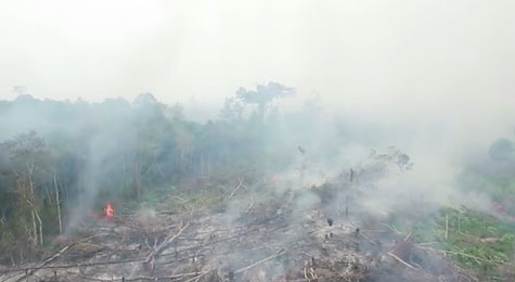 Indonesias_forest_fires_September_2015_c_Greenpeace