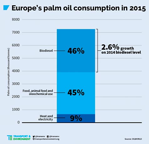 palmoilusegrows-landscape-hq