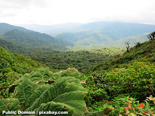 costa rica 2400159 500