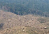 Deforestation for rubber plantations in Laos. Photo by Rhett A. Butler