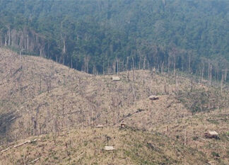 Deforestation for rubber plantations in Laos. Photo by Rhett A. Butler