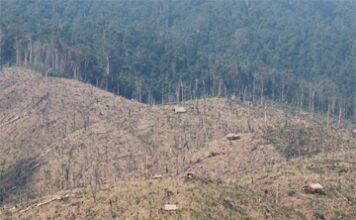 Deforestation for rubber plantations in Laos. Photo by Rhett A. Butler