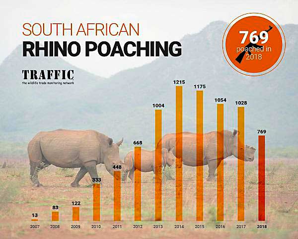 sa rhino poaching 2018 600