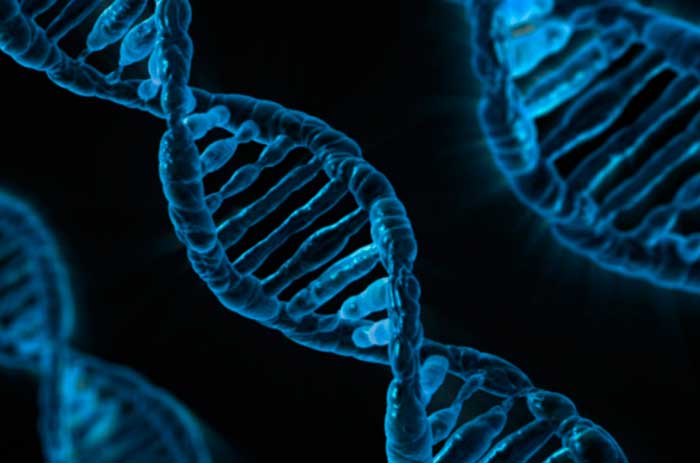 dna 163466 1280 700