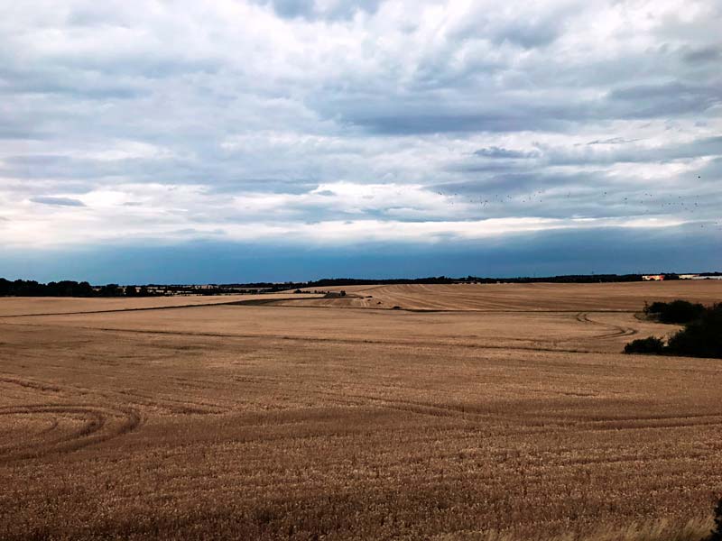 EU-Landwirtschaft nicht zukunftsfähig 1 pic 80ad8475d320190731150048 800