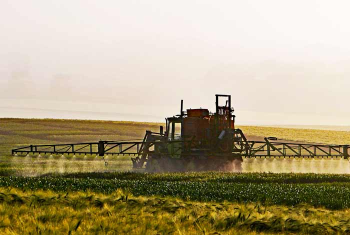 fog field barley grain transport green 1038782