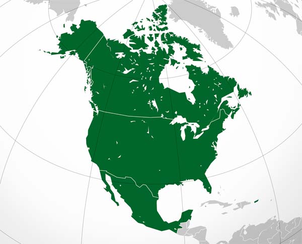 2000px North American Agreement orthographic projection 600