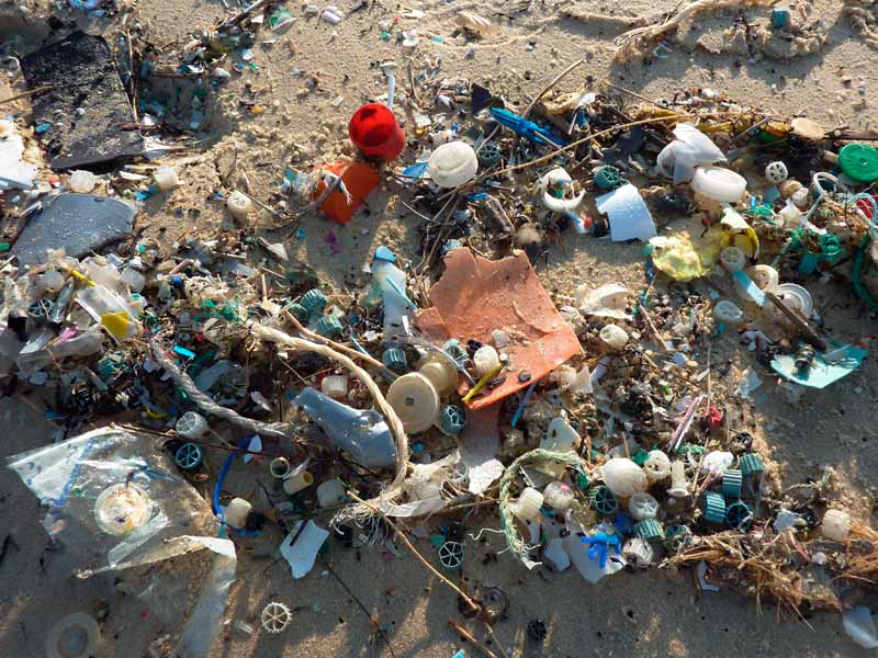 sea coast plastic enviroment strand litter 802303