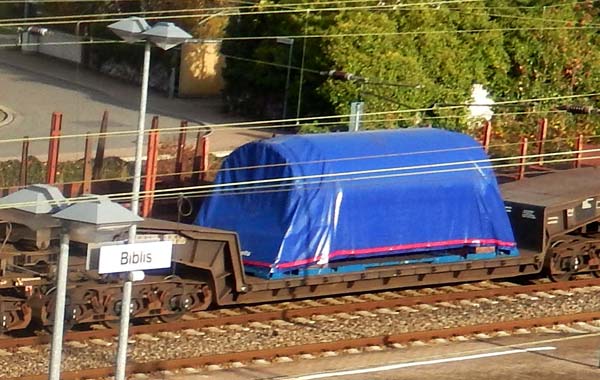 Bibliser Bahnhof Castor Behaelter Transport Castor Behaelter 5 11 2013 600