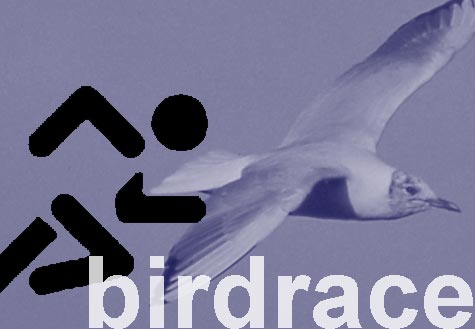logo birdrace highres 475