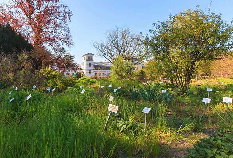 Leipzig Botanischen Garten c Swen Reichhold 800