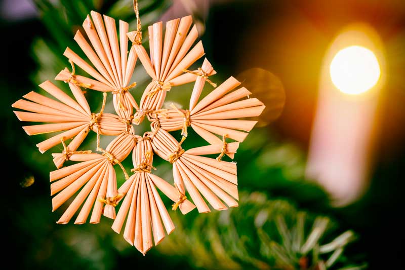 christmas 3835450 1920 800