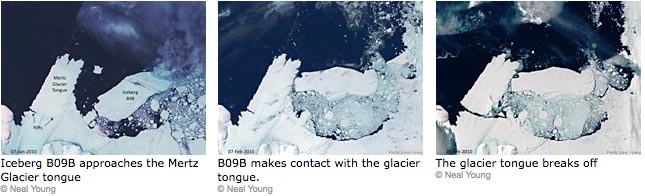 The glacier tongue breaks off - © Neal Young