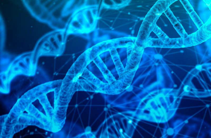 dna 3539309 1280 800