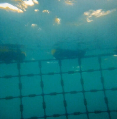 Shark Net, Coogee Beach Western Australia © Gnangarra