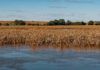 Floyd River - Flooding in Le Mars, Iowa / © Tony Webster