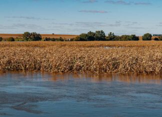 Floyd River - Flooding in Le Mars, Iowa / © Tony Webster